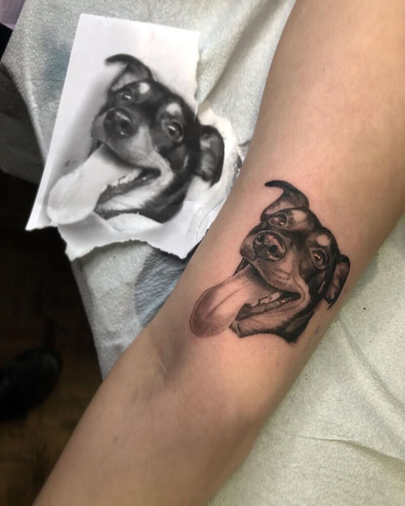 The Best Dog Tattoo Designs Realistic Portraits to Paw Prints