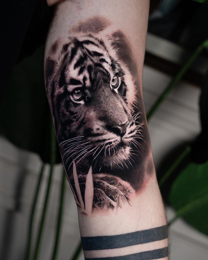 black and grey realism tattoo tiger