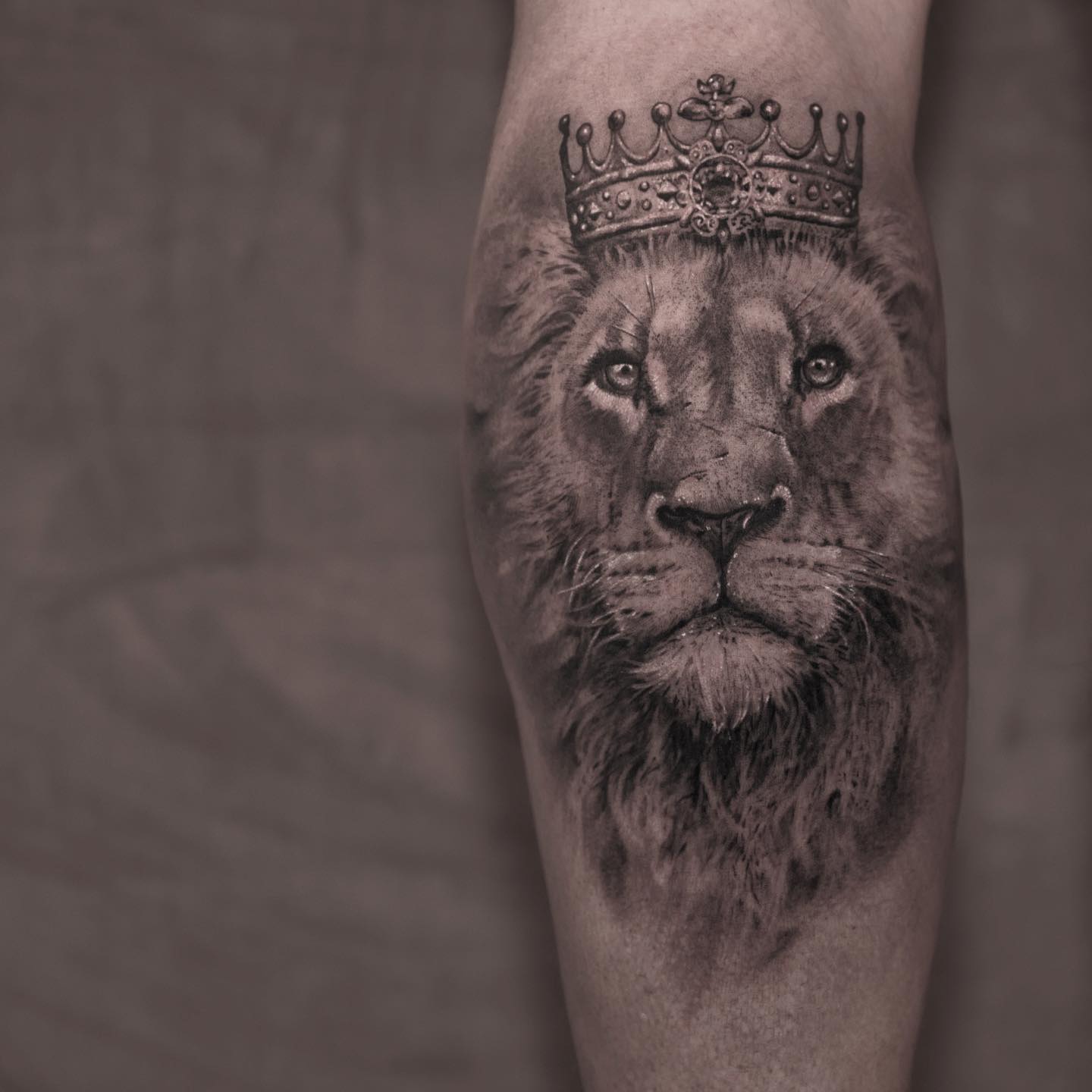 black and grey realistic tattoo lion