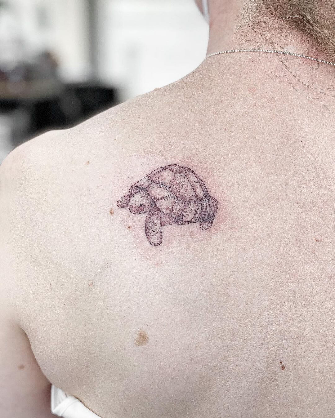 fine line tattoo turtle.